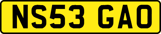NS53GAO