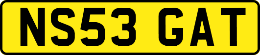 NS53GAT