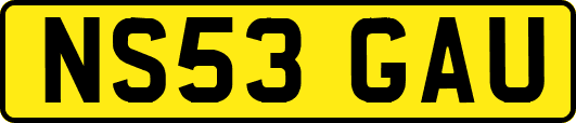NS53GAU