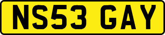 NS53GAY