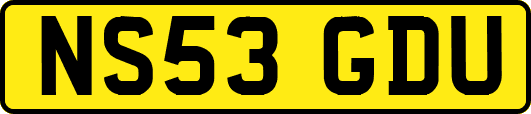 NS53GDU