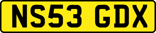 NS53GDX