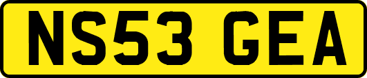 NS53GEA