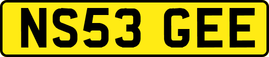 NS53GEE