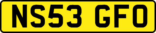 NS53GFO