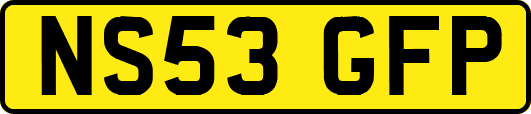 NS53GFP