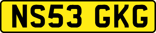NS53GKG