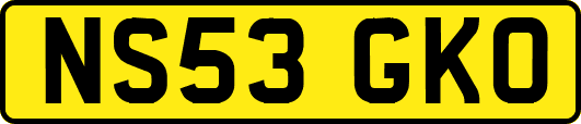 NS53GKO