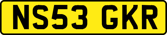 NS53GKR