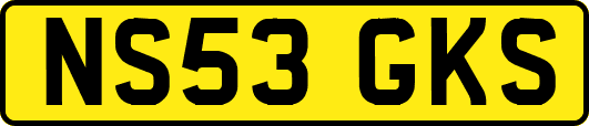NS53GKS