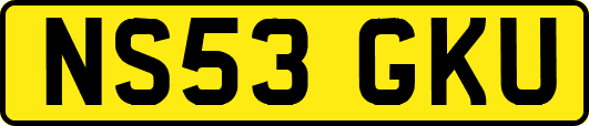 NS53GKU