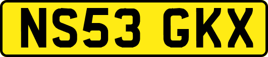 NS53GKX