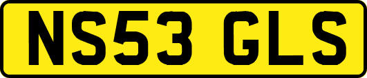 NS53GLS