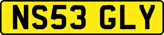 NS53GLY