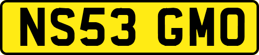 NS53GMO