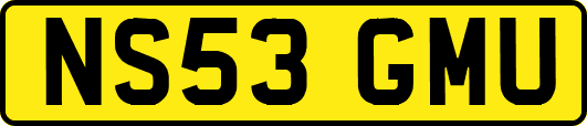 NS53GMU