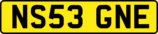 NS53GNE