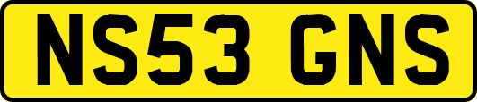 NS53GNS