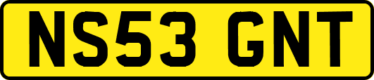 NS53GNT