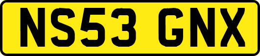 NS53GNX