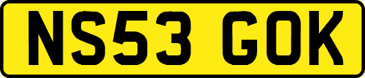 NS53GOK