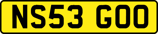 NS53GOO
