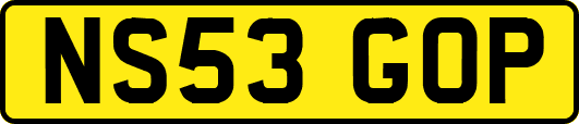 NS53GOP