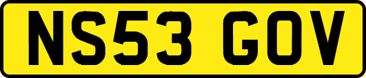 NS53GOV