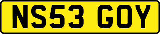 NS53GOY