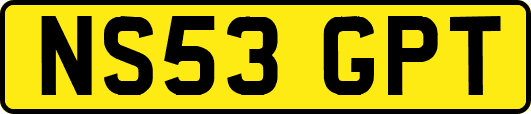 NS53GPT