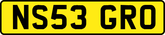 NS53GRO