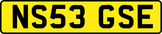 NS53GSE
