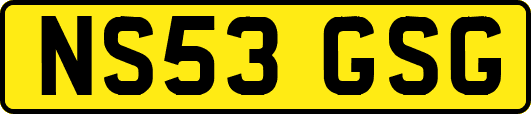 NS53GSG
