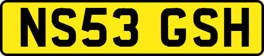 NS53GSH