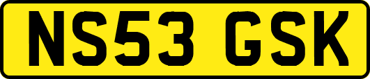NS53GSK