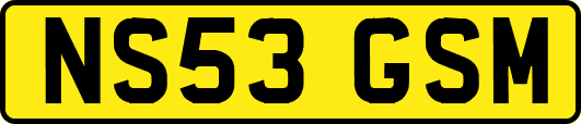NS53GSM
