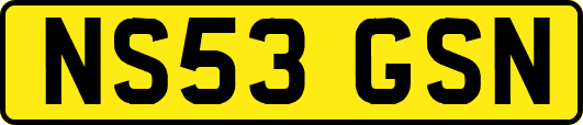 NS53GSN