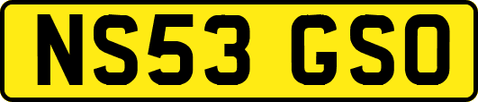 NS53GSO