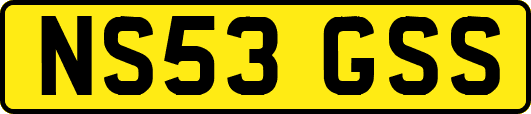 NS53GSS