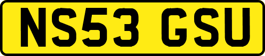 NS53GSU