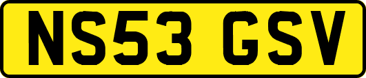 NS53GSV