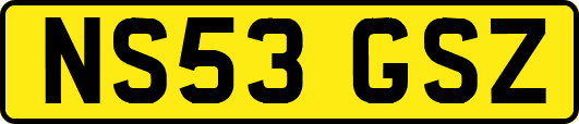 NS53GSZ