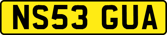 NS53GUA