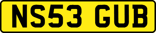 NS53GUB