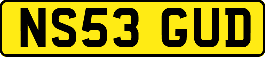 NS53GUD