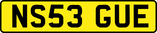 NS53GUE