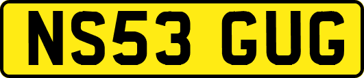 NS53GUG