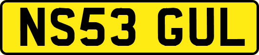 NS53GUL