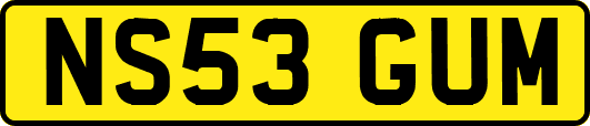 NS53GUM