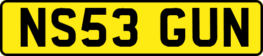 NS53GUN